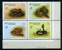 Macau 4er Macau 4er 620-623 postfrisch Schlangen MiNr. 620-623 postfrisch Schlangen -
