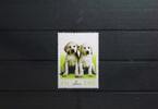 Irland Irland 1479 postfrisch MiNr. 1479 postfrisch -