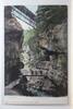 AK Bienne Le Taubenloch 1906 gebraucht -