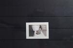 Irland Irland 1805 postfrisch MiNr. 1805 postfrisch -