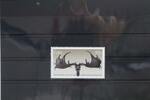 Irland Irland 1800 postfrisch MiNr. 1800 postfrisch -