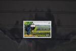 Moldawien Moldawien 569 postfrisch MiNr. 569 postfrisch -