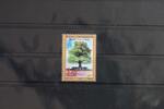 Kroatische Post (Mostar) Kroatische Post (Mostar) 61 postfrisch MiNr. 61 postfrisch -