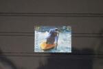 Slowenien Slowenien 586 postfrisch MiNr. 586 postfrisch -