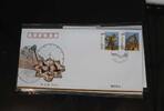 China Volksrepublik 4328-4329 auf Brief als FDC -