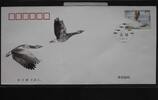China Volksrepublik 5013 auf Brief als FDC -