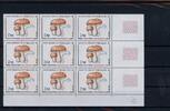 St. Pierre und Miquelon Neunerblock St. Pierre und Miquelon Neunerblock 556 postfrisch Pilze MiNr. 556 postfrisch Pilze -