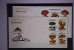Sierra Leone Sierra Leone 1076-1079 und Block 75 gestempelt als FDC/ Pilze MiNr. 1076-1079 und Block 75 gestempelt als FDC/ Pilze -