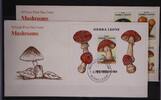 Sierra Leone Sierra Leone 1076-1079 und Block 75 gestempelt als FDC / Pilze MiNr. 1076-1079 und Block 75 gestempelt als FDC / Pilze -