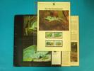 Tonga 1990 WWF komplettes Kapitel postfrisch MK FD Tonga 1990 WWF komplettes Kapitel postfrisch MK FDC Kurzkammleguan Kurzkammleguan -