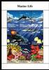 Antigua + Barbuda Antigua + Barbuda 2000-2008 postfrisch Meeresfauna MiNr. 2000-2008 postfrisch Meeresfauna -