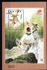 Macau Macau Block 105 postfrisch Familie MiNr. Block 105 postfrisch Familie -