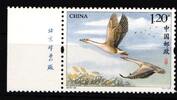 China Volksrepublik China Volksrepublik 5031 postfrisch Wildgänse MiNr. 5031 postfrisch Wildgänse -