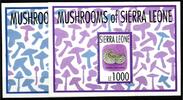 Sierra Leone Sierra Leone Block 220 und 221 postfrisch Pilze MiNr. Block 220 und 221 postfrisch Pilze -