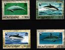 Montserrat Montserrat 786-789 postfrisch Delfine MiNr. 786-789 postfrisch Delfine -