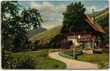 AK Schwarzwald im Frühling 1924 gebraucht -