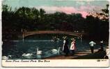 AK New York Swan Pond, Central Park 1909 gebraucht -