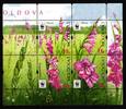 Moldawien Moldawien 958-961 postfrisch als 4er Block, Blumen MiNr. 958-961 postfrisch als 4er Block, Blumen -