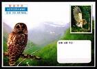 Korea Nord Korea Nord 5151 postfrisch auf Brief MiNr. 5151 postfrisch auf Brief -