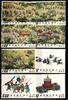 Taiwan Taiwan 892-899 postfrisch MiNr. 892-899 postfrisch -