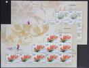China China 3425-3428 gestempelt als Kleinbogensatz MiNr. 3425-3428 gestempelt als Kleinbogensatz -