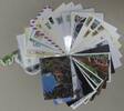    Motiv Eulen Lot von 50 Stück auf Brief Postkarte oder Sonstiges 