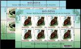 Moldawien Moldawien 1163-1164 postfrisch als Kleinbögen, Cept MiNr. 1163-1164 postfrisch als Kleinbögen, Cept -