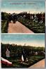 Ak Hamburg Ohlsdorf Heldenfriedhof auf Postkarte Feldpost 1918 -