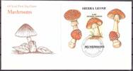 Sierra Leone Sierra Leone Block 75 Pilze Ersttagesbrief/FDC MiNr. Block 75 Pilze Ersttagesbrief/FDC -