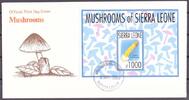 Sierra Leone Sierra Leone Block 220 Pilze Ersttagesbrief/FDC MiNr. Block 220 Pilze Ersttagesbrief/FDC -