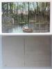 AK Berlin Tiergarten Neuer See ungebraucht -