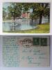 AK Chicago Illinois Duck Pond Washington Park 1911 gebraucht -