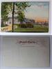 AK Chicago Illinois Scene in Hamilton Park ungebraucht -