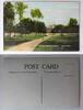 AK Chicago Illinois Washington Park ungebraucht -
