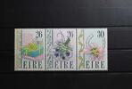 Irland Irland Zd W24 postfrisch Zusammendrucke MiNr. Zd W24 postfrisch Zusammendrucke -
