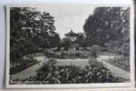 AK Komotau Rosenhain im Park ungebraucht -