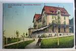 AK Zürich (Zürichberg) - Alkoholfreies Restaurant 1913 gebraucht -