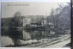 AK Berlin Jagschloss Grunewald 1913 gebraucht -