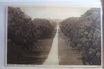 AK Windsor Castle Long Walk ungebraucht -