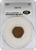 US Cent 1877 Indian Cent F15 CACG None -