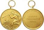 Hameln-Stadt vergoldete Bronzemedaille -