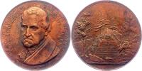 Ausbeute Bronzemedaille -