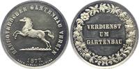 Hannover, Stadt Silbermedaille -