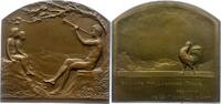 Kunstmedaillen Bronzeplakette -