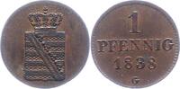 Sachsen-Albertinische Linie Pfennig Friedrich August II. 1836-1854. -