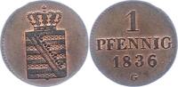 Sachsen-Albertinische Linie Pfennig Friedrich August II. 1836-1854. -