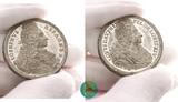 RDR Habsburg. Zinnmedaille von Wermuth. 1711 Josef I. 1705-1711. Auf den Tod des Kaisers und Dauphins von Frankreich. UNC-.
