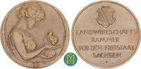 Sachsen Dresden Stadt Bronzemedaille von Friedrich Wilhelm Hörnlein Prei... 395,00 EUR  Excl. 10,00 EUR Verzending