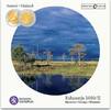 Finlande Série B.U. Finlande Type II 2010 -