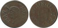 Lille Pseudo Liard Maximus Lille -